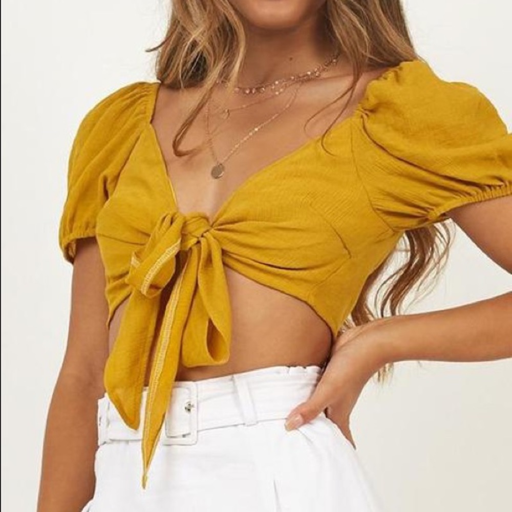 *SOLD* showpo flashback crop top